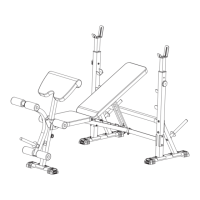 Preview: FLYBIRD FB-22 JZC01