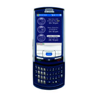 Preview: Samsung D307