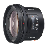 Preview: Sony SAL20F28