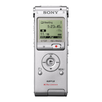 Preview: Sony ICD ICD-UX300F