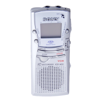 Preview: Sony ICD-MS1