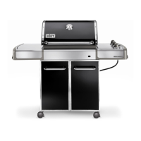 Preview: Weber E;S-320