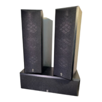 Preview: Yamaha NS-C125