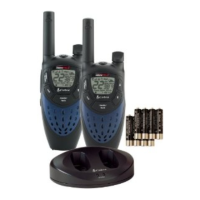 Preview: Cobra PR 4100WX