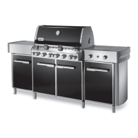 Preview: Weber Summit Grill Center 56559