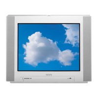 Preview: Philips Matchline 29 PT9007