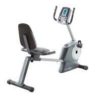 Preview: ProForm 110 R Bike