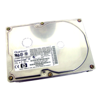 Preview: Quantum Fireball SE