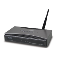 Preview: Planet WAP-4000