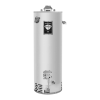 Preview: Bradford White MI30T