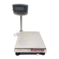 Preview: OHAUS Champ II