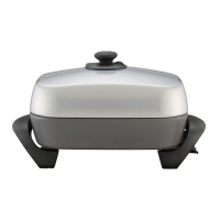 Preview: Sunbeam FP5500P