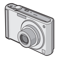 Preview: Panasonic DMC-FS20 Lumix