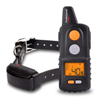 Preview: DOG d–control professional 1000