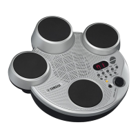 Preview: Yamaha YDD-40