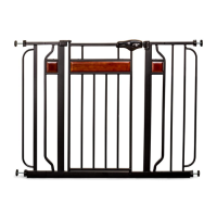 Preview: Regalo 0310