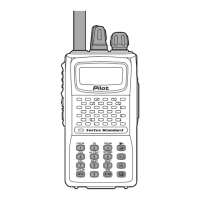 Preview: Vertex Standard VXA-210 Pilot