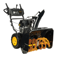 Preview: Poulan Pro PR 300