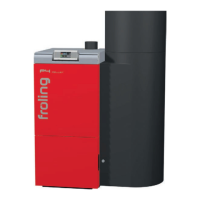 Preview: Froling P4 Pellet