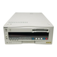 Preview: Sony DSR-80