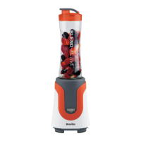Preview: Breville Blend Active