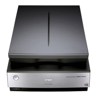 Preview: Epson Perfection V800 Photo