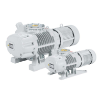 Preview: LEYBOLD RUVAC WS251