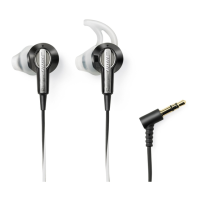 Preview: Bose IE2