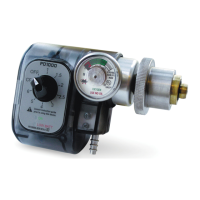 Preview: DeVilbiss PulseDose PD1000