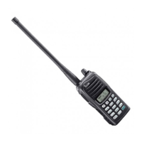 Preview: Icom IC-A14