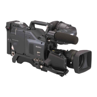 Preview: Sony DXC-D30 P