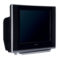 Preview: Samsung CS 21Z45