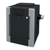 Preview: Rheem Raypak 207A