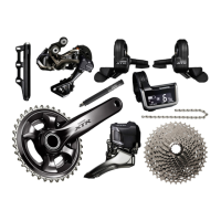 Preview: Shimano XTR Di2