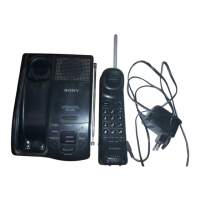 Preview: Sony SPP-A250