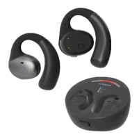 Preview: Avantree Medley Pebble