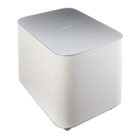 Preview: Sony SWF-BR100