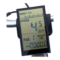 Preview: King-Meter NOKEE LCD