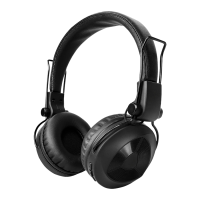 Preview: Blaupunkt BH-O1