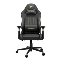 Preview: COUGAR EXPLORE ROYAL