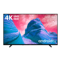 Preview: PROCASTER 55ST901H