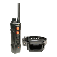 Preview: Dogtra Edge RT