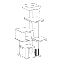 Preview: catry Kasio-CT230999B/G