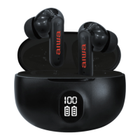 Preview: Aiwa Prodigy View AI1013