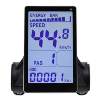 Preview: EBycco LCD-M5