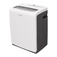 Preview: Hisense DH100 KP1 WG