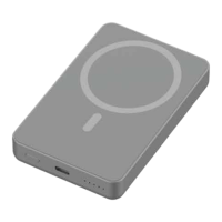 Preview: POWEROLOGY MagSafe PPBCHA34