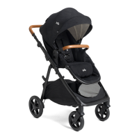 Preview: Joie ginger