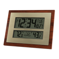 Preview: La Crosse Technology W86111