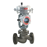 Preview: Flowserve Valtek GS V701